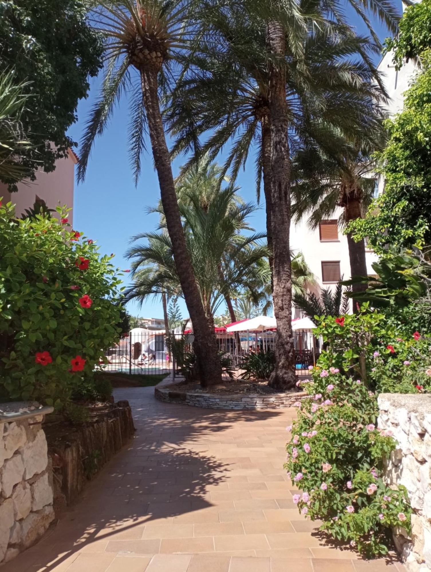 Apartamento Parchis Con Piscina Dénia Buitenkant foto